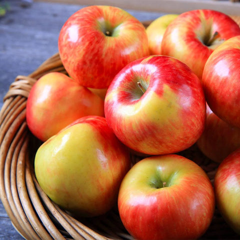 Fresh Michigan Honey Crisp Apples 3 lbs