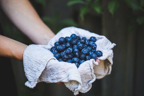 FREE FROZEN BLUEBERRIES WITH ANY FROZEN PURCHASE