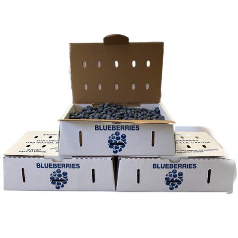 FRESH MICHIGAN BLUEBERRIES