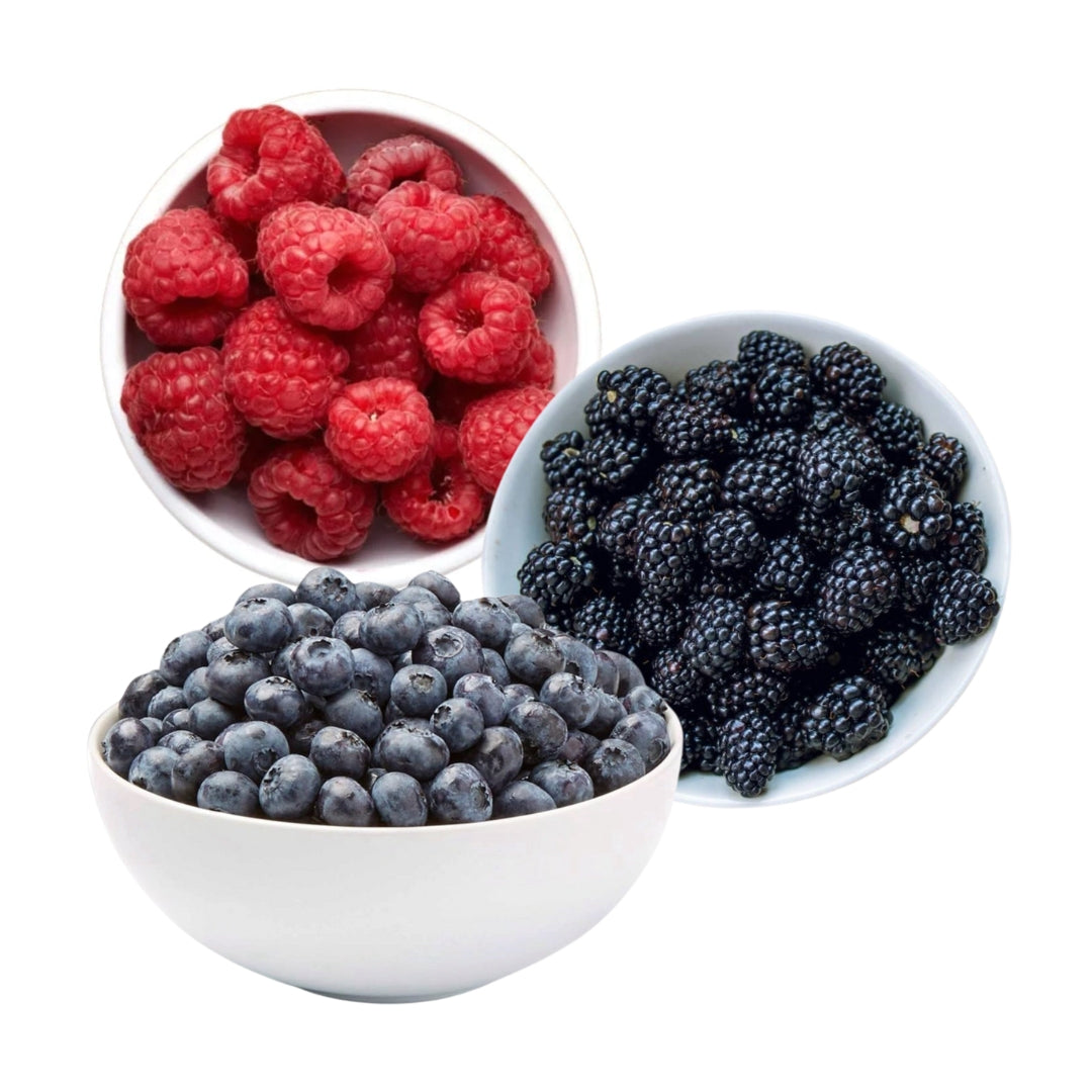 Patriot Foods: Nourishing America s Heroes Farmers Patriot Foods Inc Patriot Foods: Nourishing America s Heroes Farmers Patriot Foods Inc